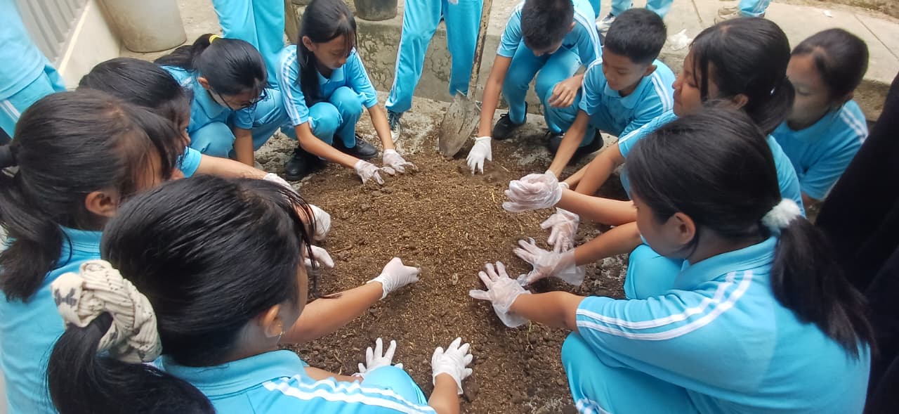 Kegiatan Kokurikuler Kelas 7 Menanam Daun Bawang & Daun Seledri